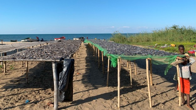 Fishers and researchers gather beside wooden boats and fishing nets along a lakeshore, discussing the day&rsquo;s catch.